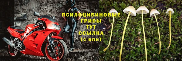 стафф Алексин