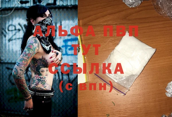стафф Алексин