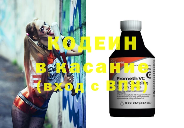 стафф Алексин